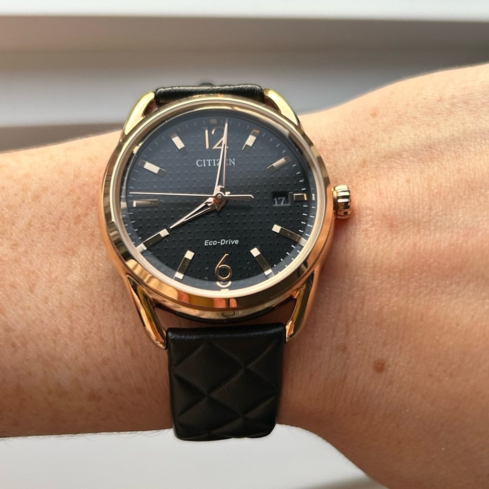 Citizen Eco-Drive Black Dial Watch + FREE Travel Protection Case